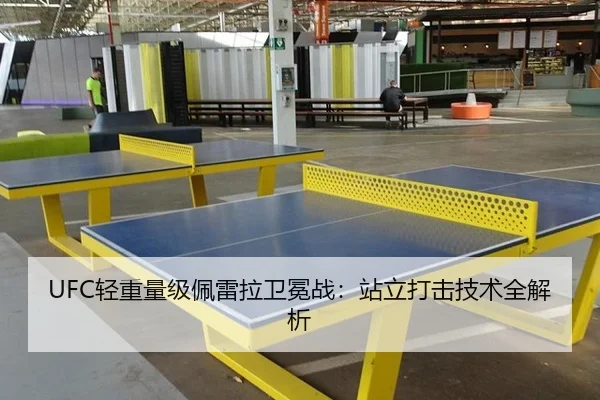 UFC轻重量级佩雷拉卫冕战：站立打击技术全解析