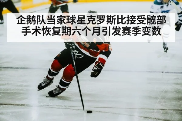 企鹅队当家球星克罗斯比接受髋部手术恢复期六个月引发赛季变数