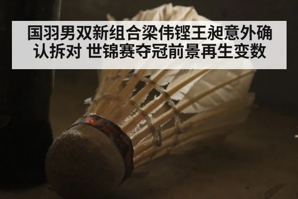 国羽男双新组合梁伟铿王昶意外确认拆对 世锦赛夺冠前景再生变数